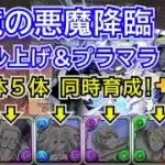 水鏡の悪魔降臨　スキル上げ＆プラマラ編成　複製体5体同時育成　自軍無課金編成