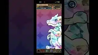 【6連】フェス限確定ガチャ＋α【パズドラ】