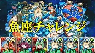 【魚座チャレンジ】武之内空&バードラモン×バレンタインノアでずらし攻略!!【パズドラ】【アシスト無効】【制限時間60分】【星座】【双魚宮】