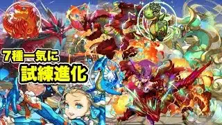 【7種共通編成】快適‼️試練ダンジョンドラゴン バレンタインノア周回編成・立ち回り紹介！！【#パズドラ/パズル&ドラゴンズ】