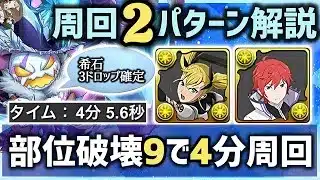 【パズドラ】フロウス降臨！部位破壊9！キコル、ラインハルト4分周回を2パターン立ち回り解説！
