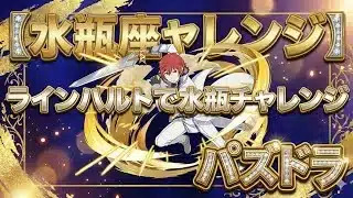【水瓶座チャレンジ】ラインハルトで水瓶座チャレンジ解説【パズドラ】