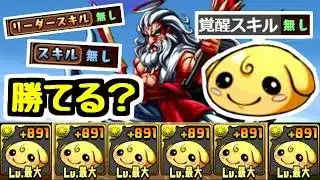 【令和のゼウス降臨】ヒカりんだけでゼウス降臨はクリアできるのか？【パズドラ】