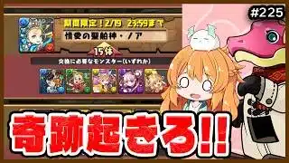 無課金でもバレンタインノアが欲しい…奇跡を信じるっ!!!!!【無課金パズドラ】