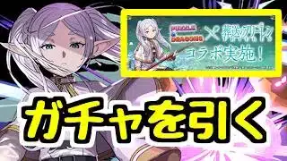 【生放送】葬送のフリーレンコラボ！ガチャ引くぞ！【パズドラ】