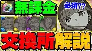 【絶対見ろ】フリーレンコラボは無課金交換所キャラに人権多数！これ取らないと一生後悔する可能性があります！【パズドラ】