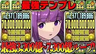 【絶対流行る】この使い方が絶対最強！フリーレン＆フェルンがぶっ壊れすぎた太陽チャレンジ【パズドラ】