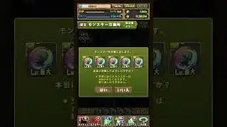 パズドラ　ヴィアベル（複製体）‼️交換‼️202603