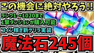 【無料魔法石245個GET】この機会を逃すな！ランク1→1020まで1撃ダンジョンが購入可能に！さらにコイン稼ぎ新ゲリラダンジョンも実装！5つのパズドラ最新情報解説！【パズドラ】