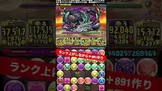 【大罪龍2体同時】ランク上げしながら＋891作り【#パズドラ/パズル&ドラゴンズ】#大罪龍コロシアム #＋891作り #ランク上げ  #フェルン