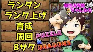 【#パズドラ】ランダンとか3月のクエダンとか【#縦型配信】