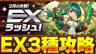 3月のEXラッシュを3種類の編成で攻略するまで終われない配信【パズドラ配信】