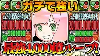 【所持者勝ち組】ぶっ壊れステ＆環境最強火力！アムリネアループがぶっ壊れすぎたEXラッシュ【パズドラ】