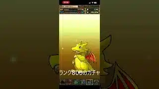 【PUZZLE & DRAGONS】ランク800 & 500メモリアルガチャ 3連【パズドラ】