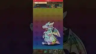 SGFガチャ＆新フェス限確定ガチャ配布分（2垢）