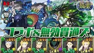 最新要素盛り盛りのコラボキャラだけで挑む風雲チャレンジ【パズドラ】
