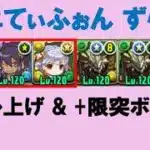 【正月ノルディス】ミニてぃふぉん降臨！ スキル上げ＆プラス限界突破ずらすだけ周回【パズドラ】