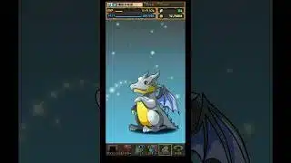 パズドラミニキャラシリーズログインスタンプガチャ最終日#パズドラ #パズドラガチャ