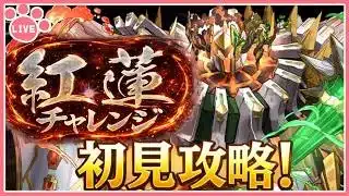 【パズドラ】新称号チャレンジ開催！「灼熱」チャレンジを初見攻略！【雑談】