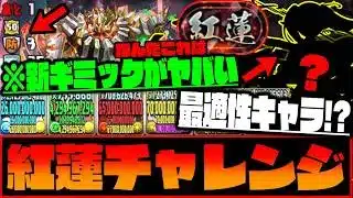 【紅蓮チャレンジ】このキャラ『最強』すぎないか????【ダックス】【パズドラ実況】