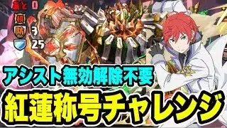 【簡単パズル】紅蓮称号チャレンジ クリア編成・立ち回り紹介！！【#パズドラ/パズル&ドラゴンズ】