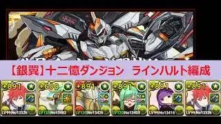 【パズドラ】十二億ダンジョン(銀翼)　ラインハルト編成　１周１９億経験値