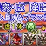 天導衆・虚降臨　スキル上げ＆プラマラ用　対象虚1体　無課金編成