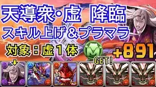 天導衆・虚降臨　スキル上げ＆プラマラ用　対象虚1体　無課金編成
