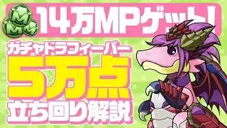 【パズドラ】1コンボだけで楽々5万点オーバー！春のガチャドラフィーバー最強楽々立ち回り完全解説！！