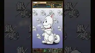 パズドラ　銀魂ガチャ‼️ログインスタンプ2日目のプレゼント🎁202604