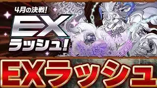 4月EXラッシュをやる！！普通に攻略してもつまらないから、なにか面白いことしたい【パズドラ配信】