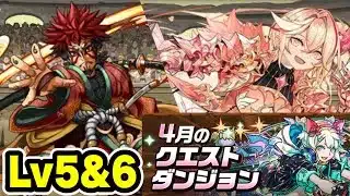 【固定チーム】4月クエストダンジョンLv5&6 立ち回り紹介！！【#パズドラ/パズル&ドラゴンズ】【#4月クエストダンジョン】