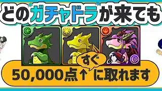 【パズドラ】春のガチャドラフィーバー！どのガチャドラが来ても5万点↑簡単に取れる立ち回りを解説！