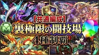 【魔法石・モンポ大量回収】アシスト無し‼️極限の闘技場 8種クリア共通編成・立ち回り紹介！！Part2【#銀魂コラボ】【#パズドラ/パズル&ドラゴンズ】