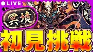 負ける気がしねぇ・・・冥境チャレンジ初見攻略配信！！【パズドラ配信】