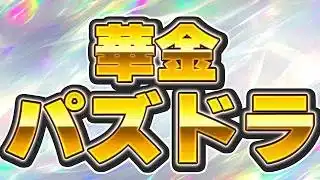 【華金】公式放送までもう少し！！今日も元気にパズドラ【パズドラ配信】