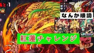 【紅蓮の機王】初見なのに順調に進むテミス攻略　第１章【パズドラ】