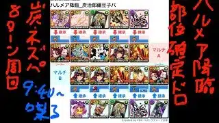 [パズドラ]ハルメア降臨_炭治郎禰豆子パ[パズル&ドラゴンズ]