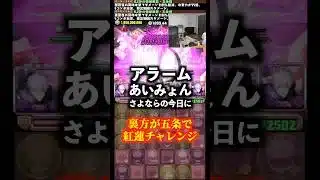 【寝るな】裏方のパズドラ中に寝てしまいました #たかし #パズドラ