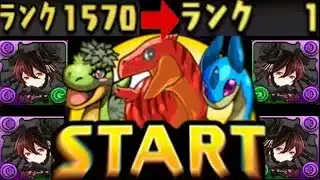 【廃課金→無課金】今更1からパズドラ始めてみたら神すぎた【星を紡ぐ精霊】
