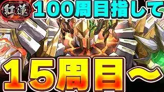 誰がやんねん!!紅蓮100周チャンレジ!!15周目〜【パズドラ配信】#パズドラ