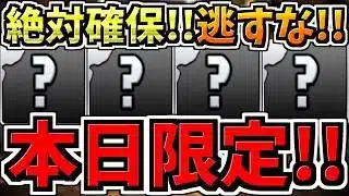 【本日(10日)限定】逃すと絶対後悔します！計13体(無課金9体+ガチャ4体)！今後のパズドラ人生に大きく関わる重要なことです！ガチで全パズドラーに見て欲しい！徹底解説【パズドラ】