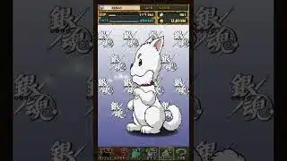 パズドラ　銀魂ガチャ‼️ログインスタンプ10日目のプレゼント🎁202605