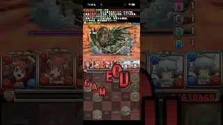 5倍…？【パズドラ】