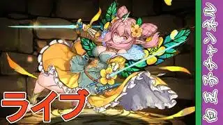 【パズドラ】草イベント5月パズドラ by白王子 2026/5/20