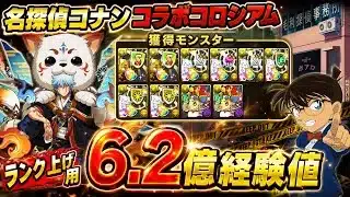 【5分台6.2億経験値】ランク上げ用‼️名探偵コナンコラボコロシアム 周回編成・立ち回り紹介！！【#名探偵コナンコラボ】【#パズドラ/パズル&ドラゴンズ】