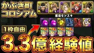 【5体同時+891作り】楽パズル‼️かぶき町コロシアム 周回編成・立ち回り紹介！！【#銀魂コラボ】【#パズドラ/パズル&ドラゴンズ】