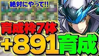 【育成枠7体で+891育成】バグレベルに美味い！運営に修正される前に絶対にやろう！ワンタッチダンジョン周回編成解説！【パズドラ】