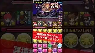【称号GET】アシスト無し冥境称号チャレンジ 【#パズドラ/パズル&ドラゴンズ】 #ラインハルト #冥境