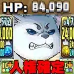 HP○万越え！最強無課金キャラ爆誕！定春がぶっ壊れすぎでヤバい【パズドラ】